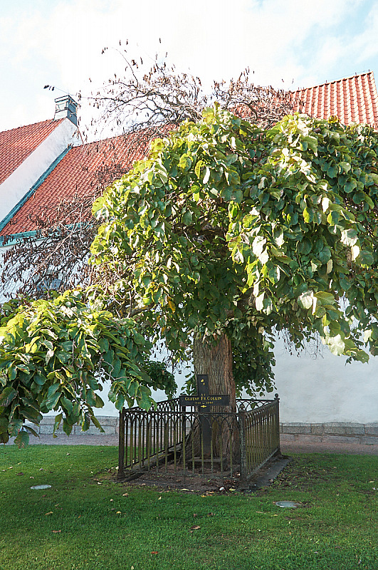 2019 08 23 Karlshamn Ronneby Torhamn 242