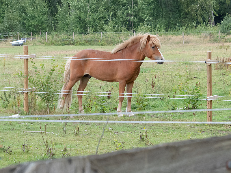 2019 08 19 Helsinborg Helsignor 0013e