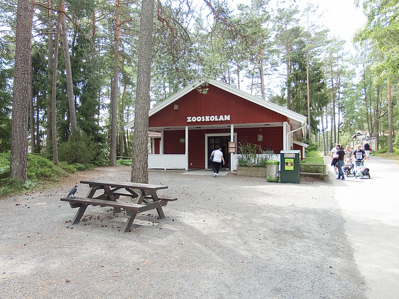 2017 07 07 KolmordenZOO 099e