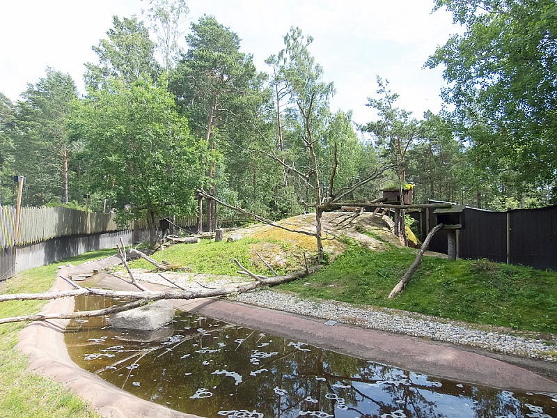 2017 07 07 KolmordenZOO 279e