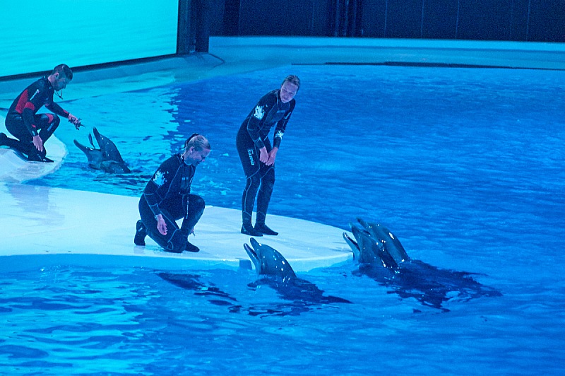 2017 07 07 KolmordenZOO 504