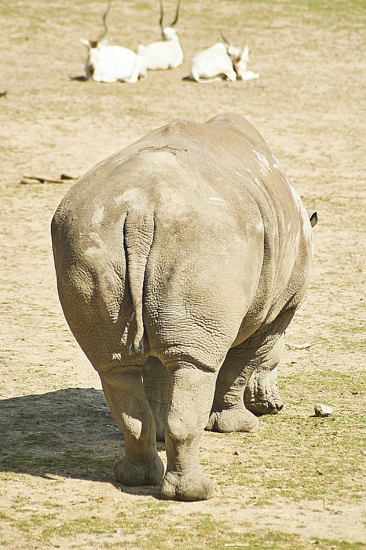 2017 07 07 KolmordenZOO 571
