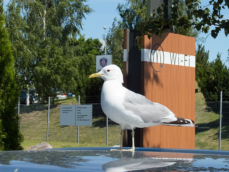 2017 07 05 Stockholm 0436e