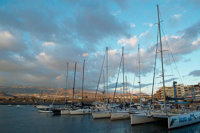 2015 01 07 Las Galletas 006