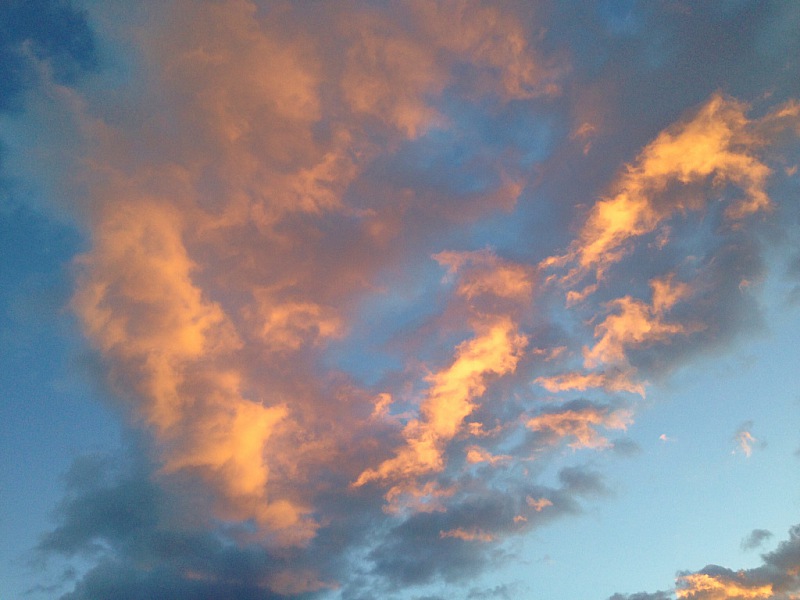 2015 01 Tenerife iPhone 241