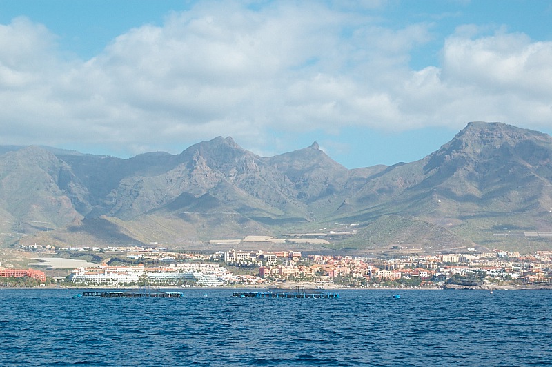 2015 01 06 Puertito de Armenime 164
