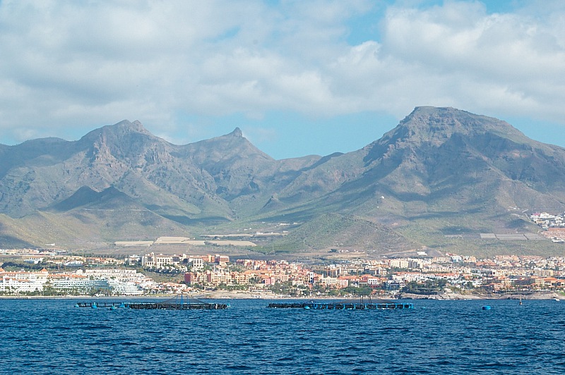 2015 01 06 Puertito de Armenime 167