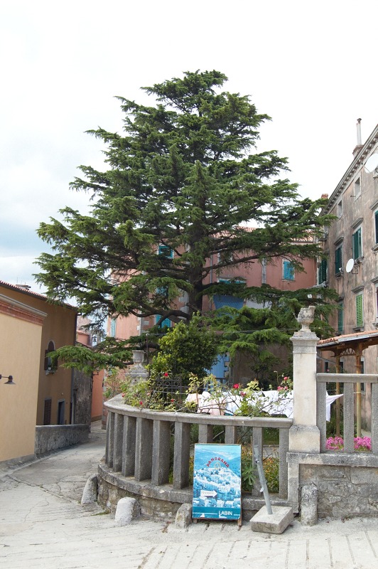 2010 08 05 Labin 055