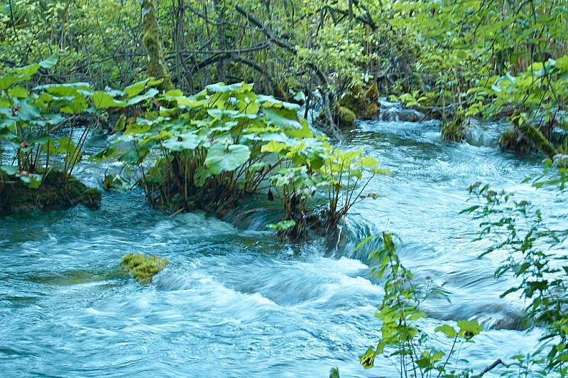 2010 08 02 Plitvicka Jezera 166