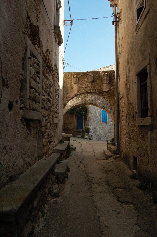 2010 07 31 Plomin 004