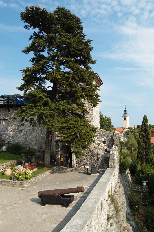 2010 08 03 Rijeka Trsat 020