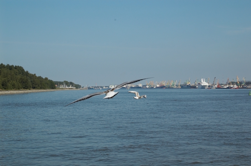 2007 08 06 Klaipeda 008