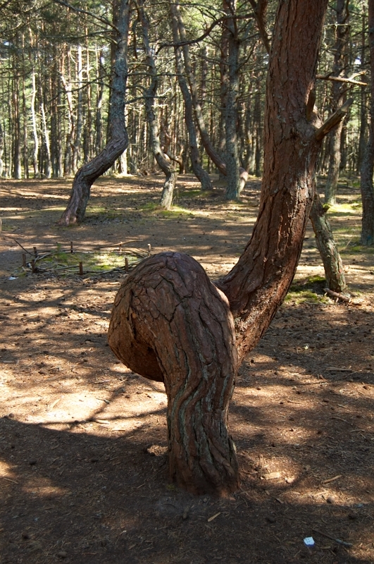 2007 08 07 KursskajaKosa 071