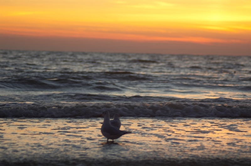 2007 08 05 Palanga 079