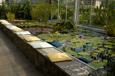 2012 08 07 Linz Botanischer Garten 589
