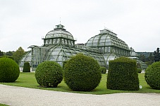 2014 08 01 Wien Tiergarten0027