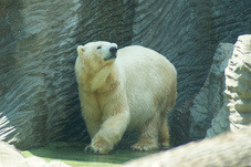 2012 08 12 Praha ZOO 0384