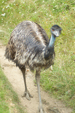 2012 08 12 Praha ZOO 0522