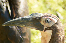 2012 08 12 Praha ZOO 1126