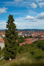 2008 07 20 Bamberg 509