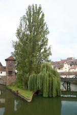 2008 07 24 Nurnberg 716