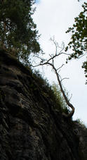 2011 07 26 Raten Bastei 368