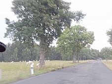 2018 07 12 Zwickau 1075m