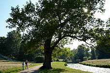 2013 06 28 Pavlovsk 0790