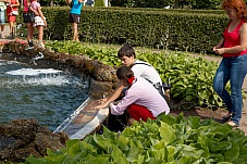 2013 06 24 Peterhof 485