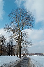 2015 02 21 Izmailovo 006