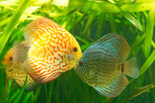 2012 03 09 Oceanarium 290