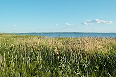 2015 06 08 Perslavl 001
