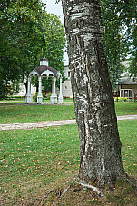 2020 08 24 Suzdal 186