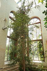 2019 08 21 Lund 265