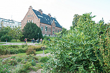 2019 08 21 Lund 321