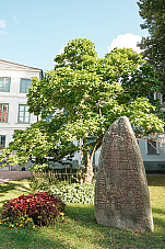 2019 08 21 Lund 396