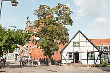 2019 08 22 Lund 013