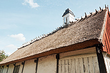 2019 08 22 Lund 120