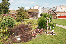 2019 08 22 Lund 204