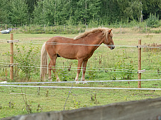 2019 08 19 Helsinborg Helsignor 0014e