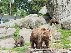 2017 07 07 KolmordenZOO 136e