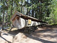 2017 07 07 KolmordenZOO 831e