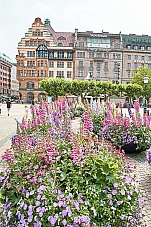 2017 07 11 Malmo 591
