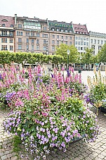 2017 07 11 Malmo 593