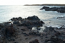 2015 01 09 Las Galletas 220