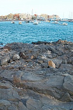 2015 01 09 Las Galletas 221