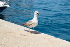 2006 06 27 Rovinj 015-1