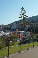 2010 08 01 Opatia 047